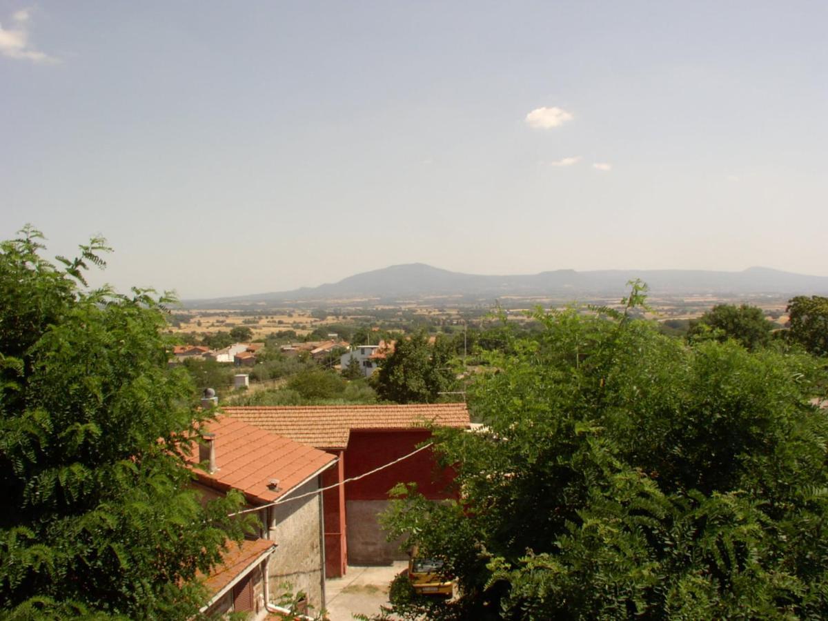 I Tulipani Olandesi Bed & Breakfast Zepponami Exterior foto